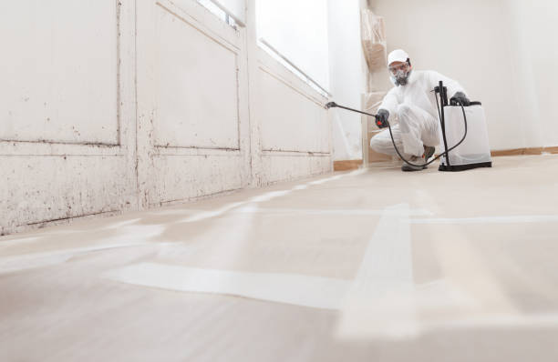 24/7 Emergency Basement Mold Removal experts in Glen Hope, PA